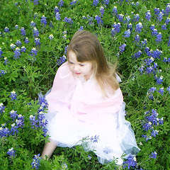 Texas Bluebonnets