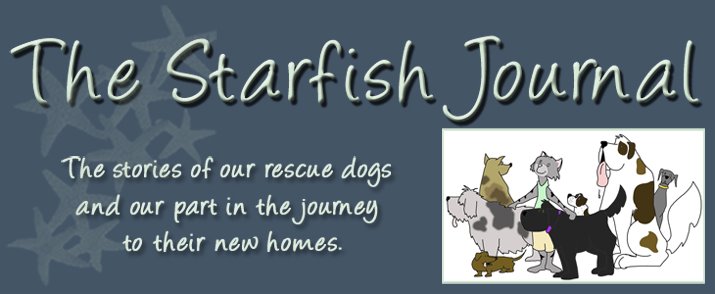 The Starfish Journal