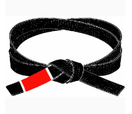 The BJJ Black Belt - John Will's Blog: 6th Degree BJJ Black Belt, MMA ...