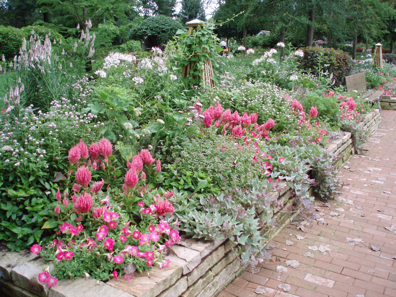 [pink+wall2+2007.jpg]