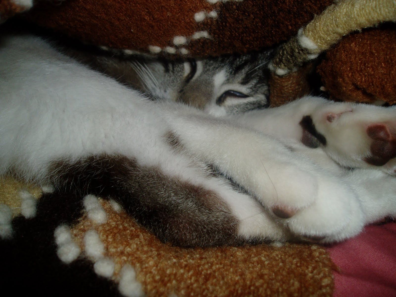 [Matias+dorminhoco.JPG]