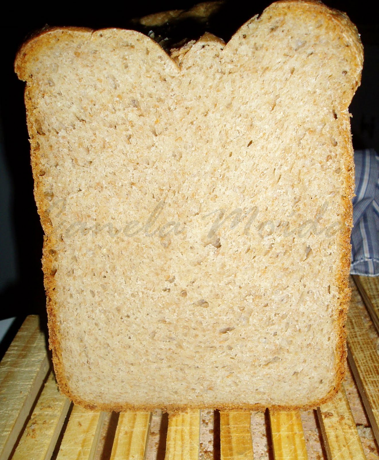 [pão+4+farinhasP.jpg]