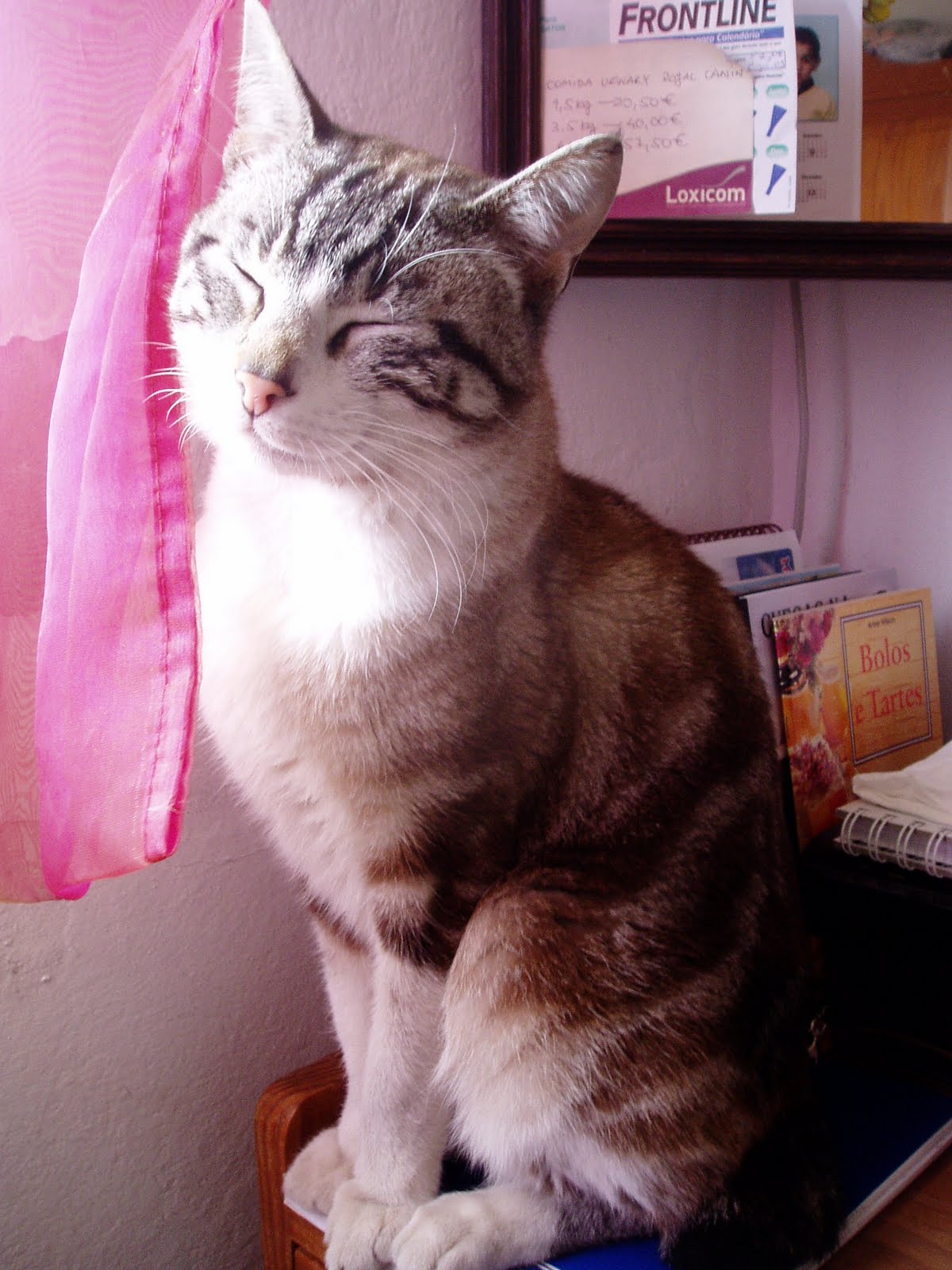 [Matias+2010+Fev.JPG]