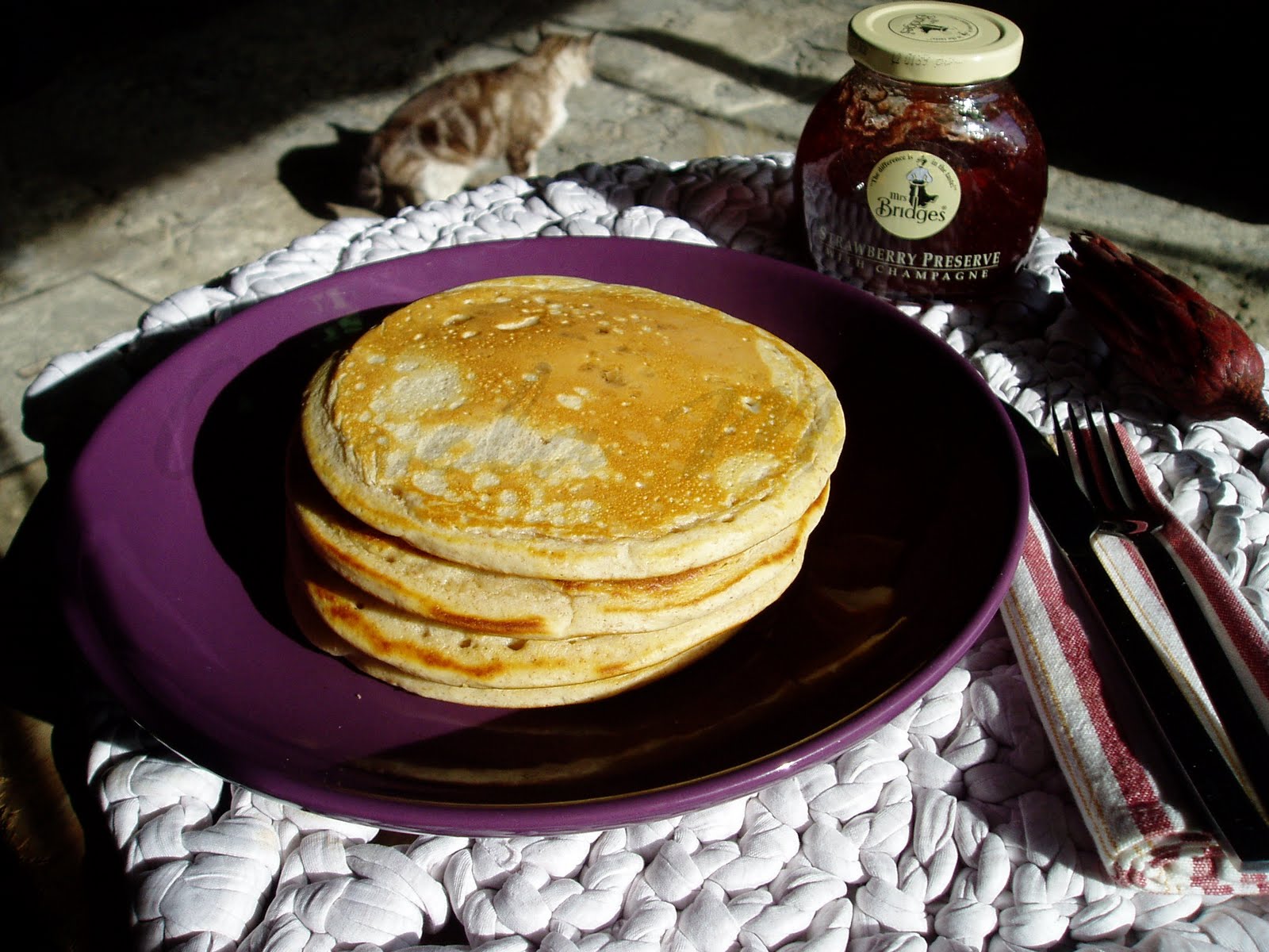 [panquecas+integrais+gatoP.jpg]