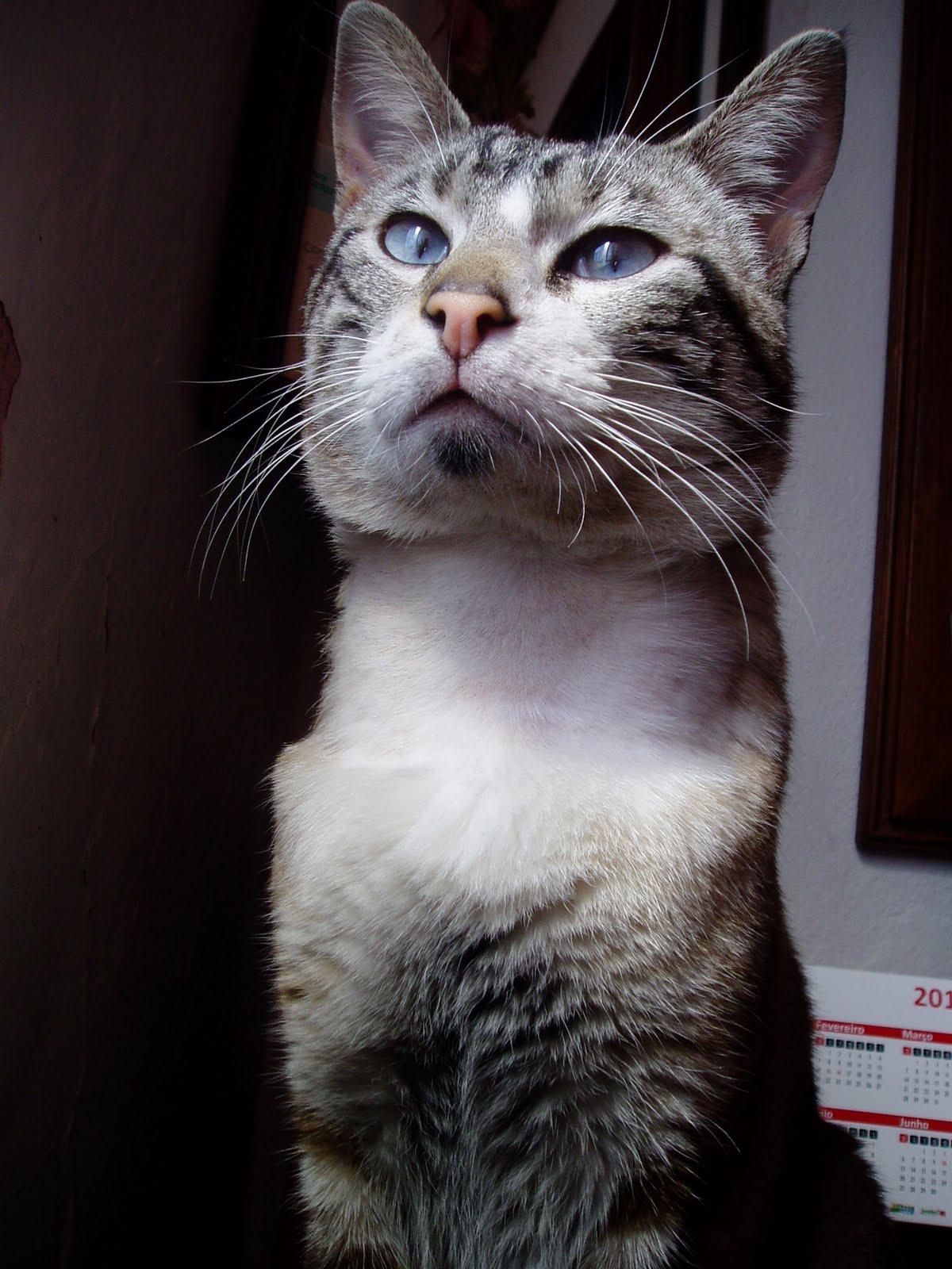 [Matias+Março+2010.JPG]