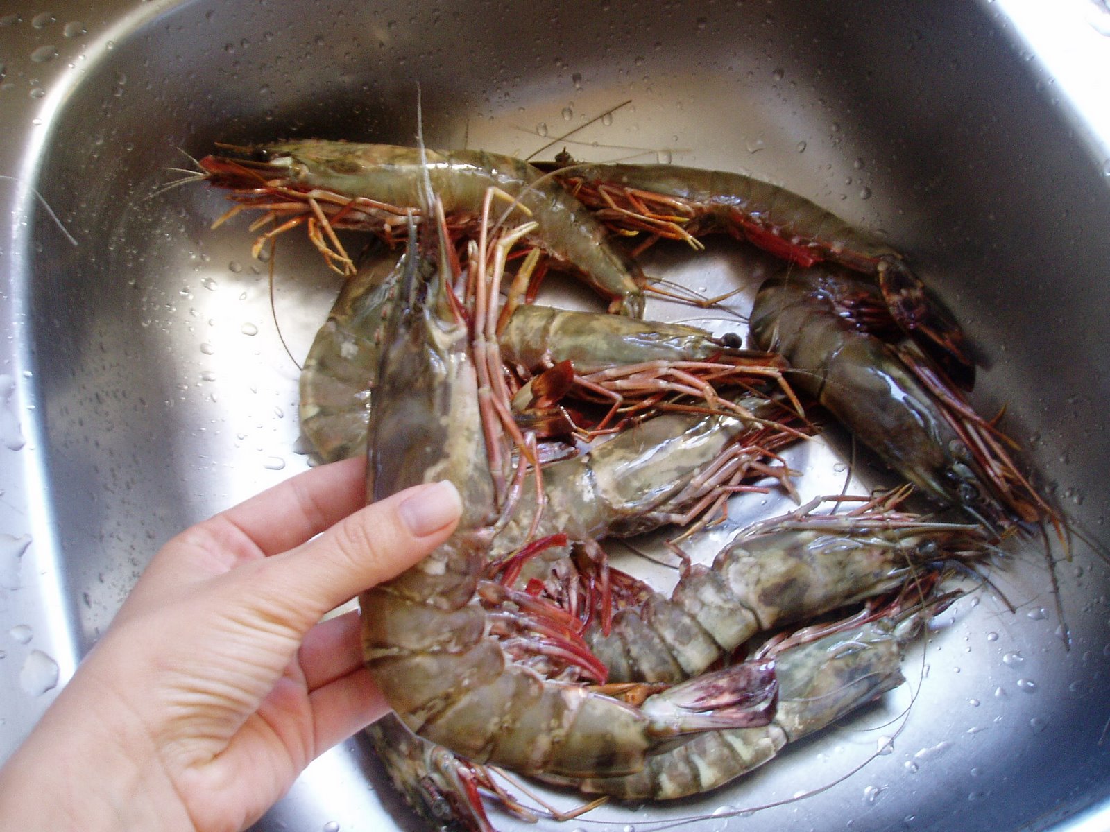 [Camarão+de+moçambique.JPG]