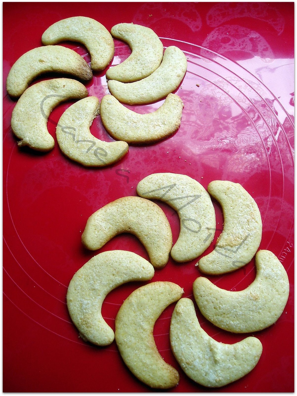 [meias-luas+Picasa.jpg]