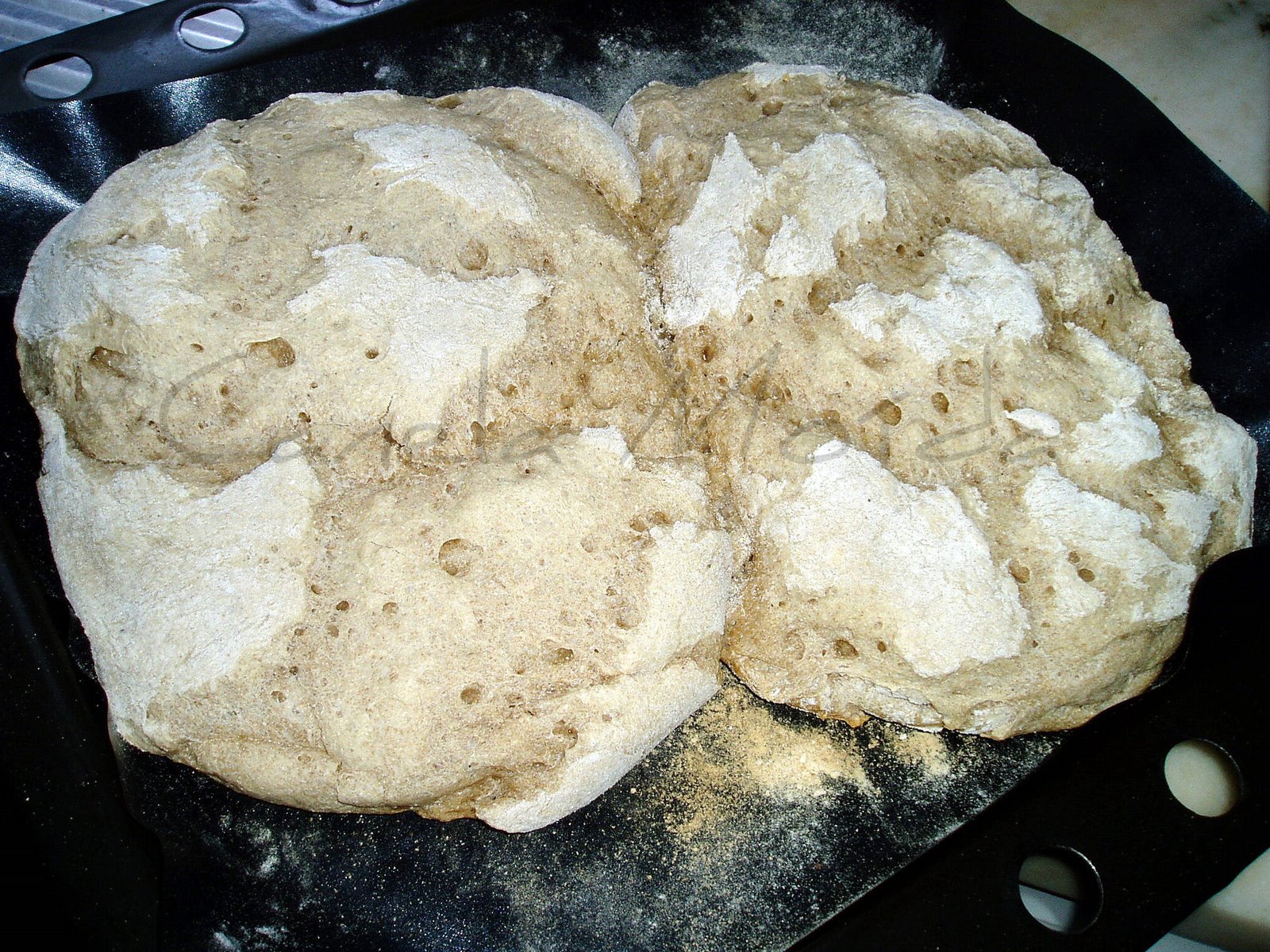 [Pão+de+centeioP.jpg]