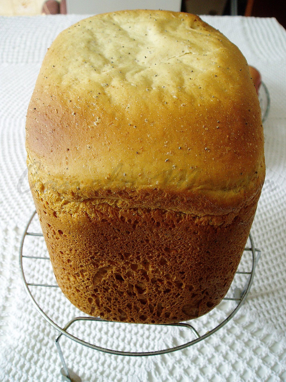 [Pão+custard+c+semntesP.jpg]