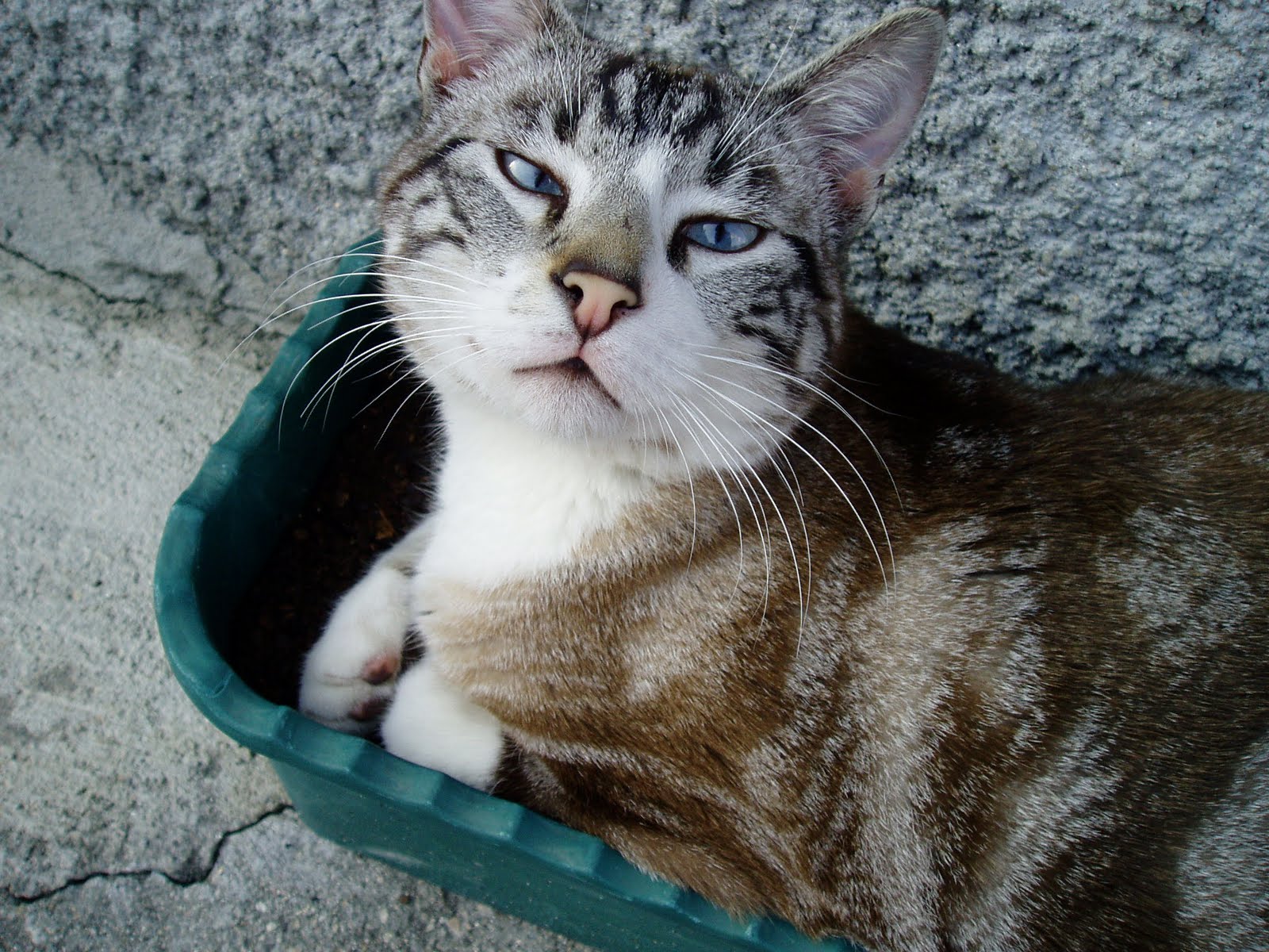 [Matias+na+floreira+21-02.JPG]