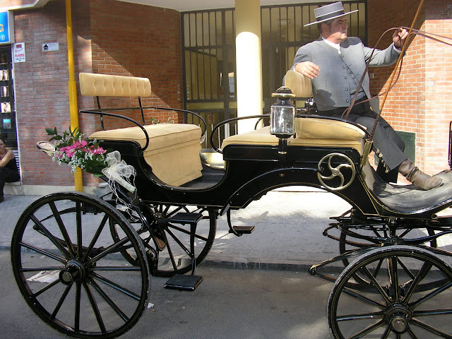 ABRIL FLORES Y PLANTAS