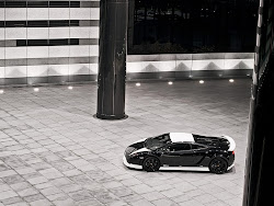 lamborghini gallardo gt600
