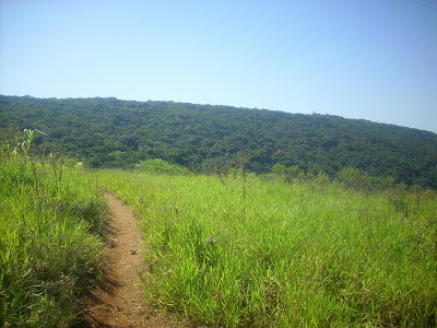 trekking no Morro Santana em Porto Alegre, RS