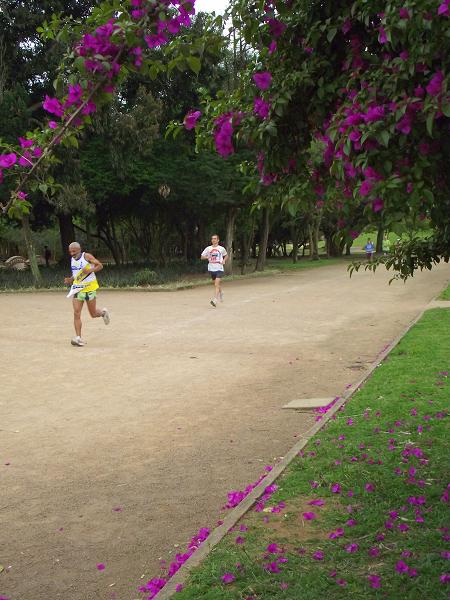 rústica, maratona, Parque Farroupilha, Redenção, Porto Alegre, Rio Grande do Sul, Brasil