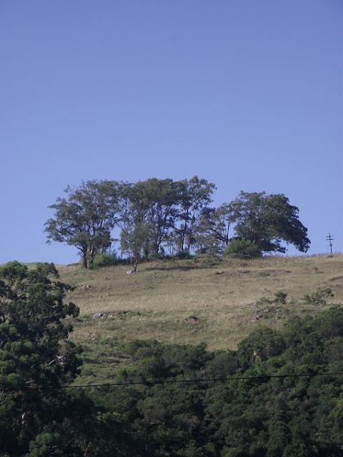 Fotografia mostrando altos do Morro da Glória em manhã quente e abafada em Porto Alegre, em um dia típico de verão