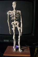 el esqueleto humano x lauti