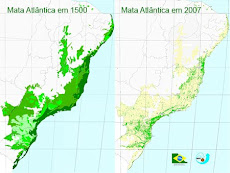 Situação da Floresta Atlântica