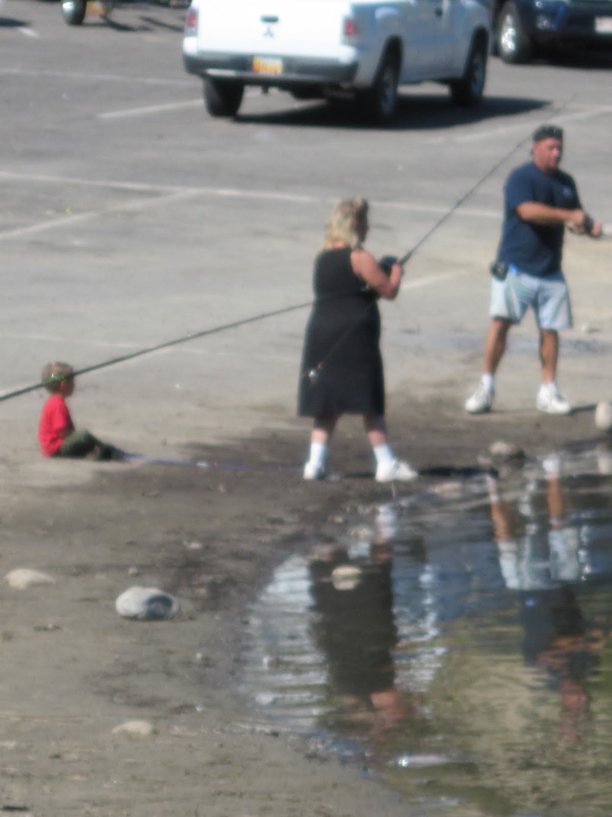 Along The Side Roads Navajo Dam, New Mexico
