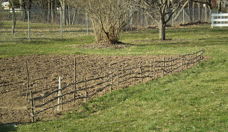 Fence that sticks in the ground Clearance