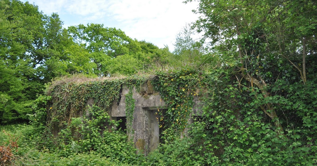 Walking the Battlefields V Weapons on the Cotentin Peninsula (1944)