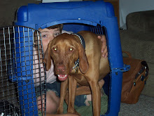 Who's home is this anyway?