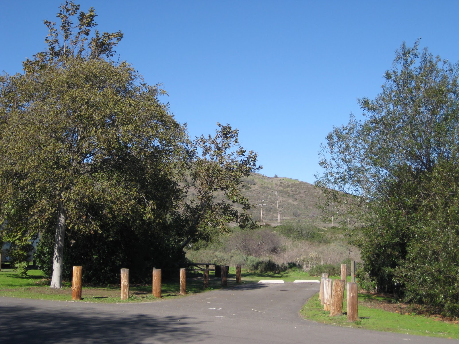 San Onofre Campground: A Haven for Outdoor Adventure and Natural Beauty 