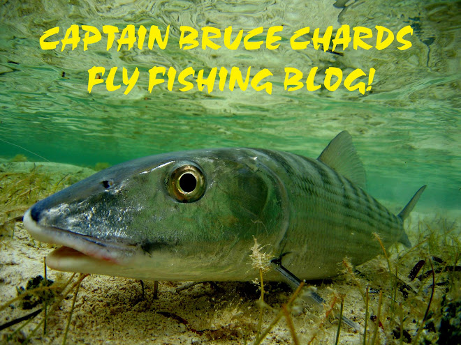 CAPTAIN BRUCE CHARDS FLY FISHING BLOG!