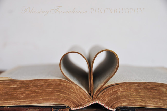 Counting Your Blessings: Heart Photography