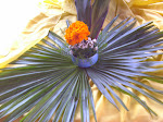 single flower arrangement