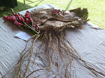 wall hanging
