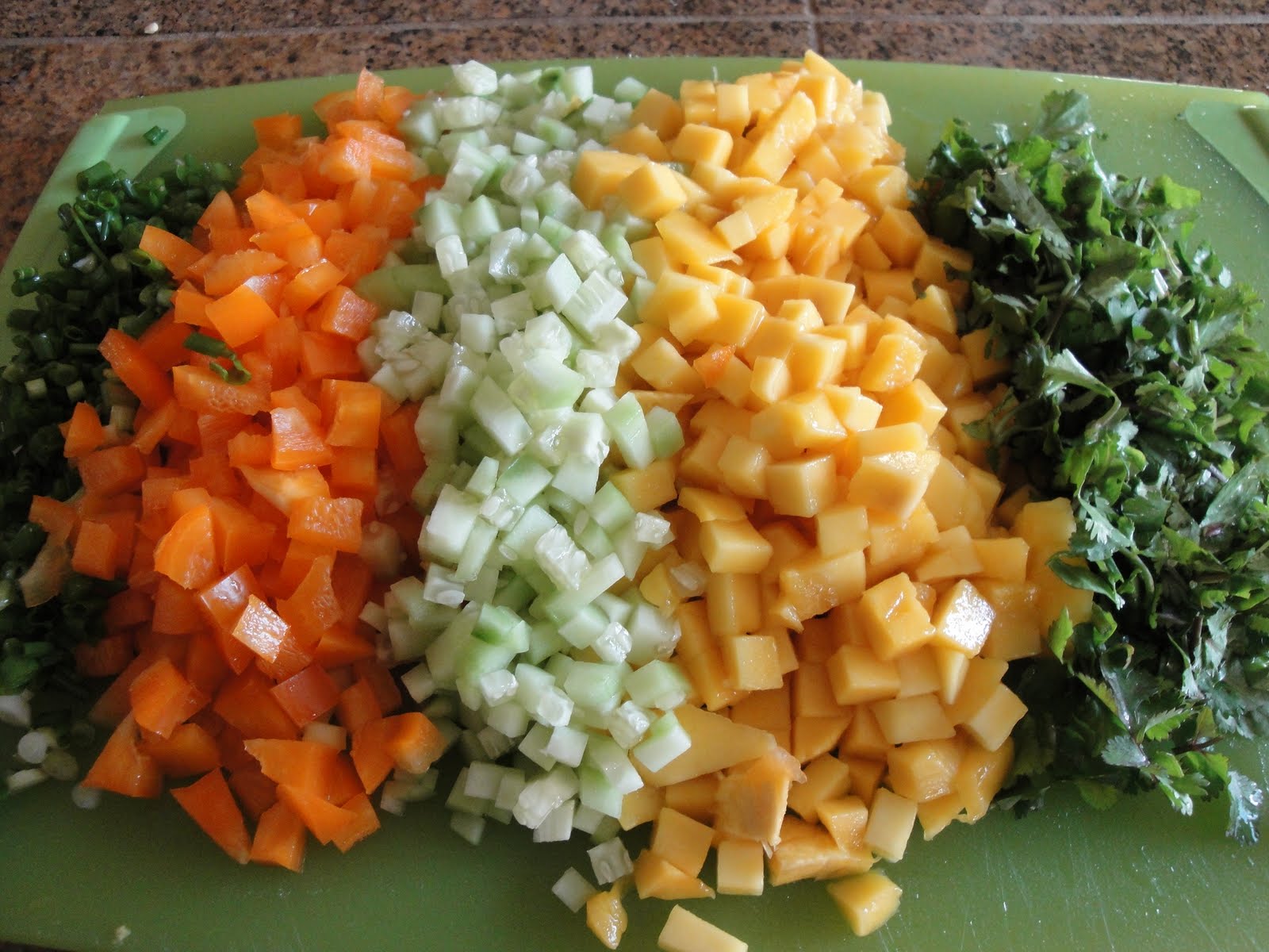 The Spices Of Life . . . Mahi Mahi with Mango Salsa