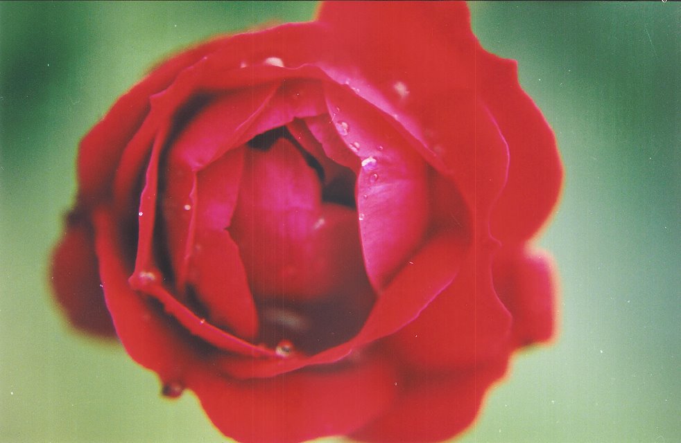 [12.bmp]