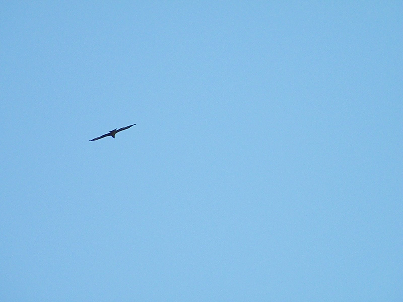 [2009_0621fun0039.JPG]