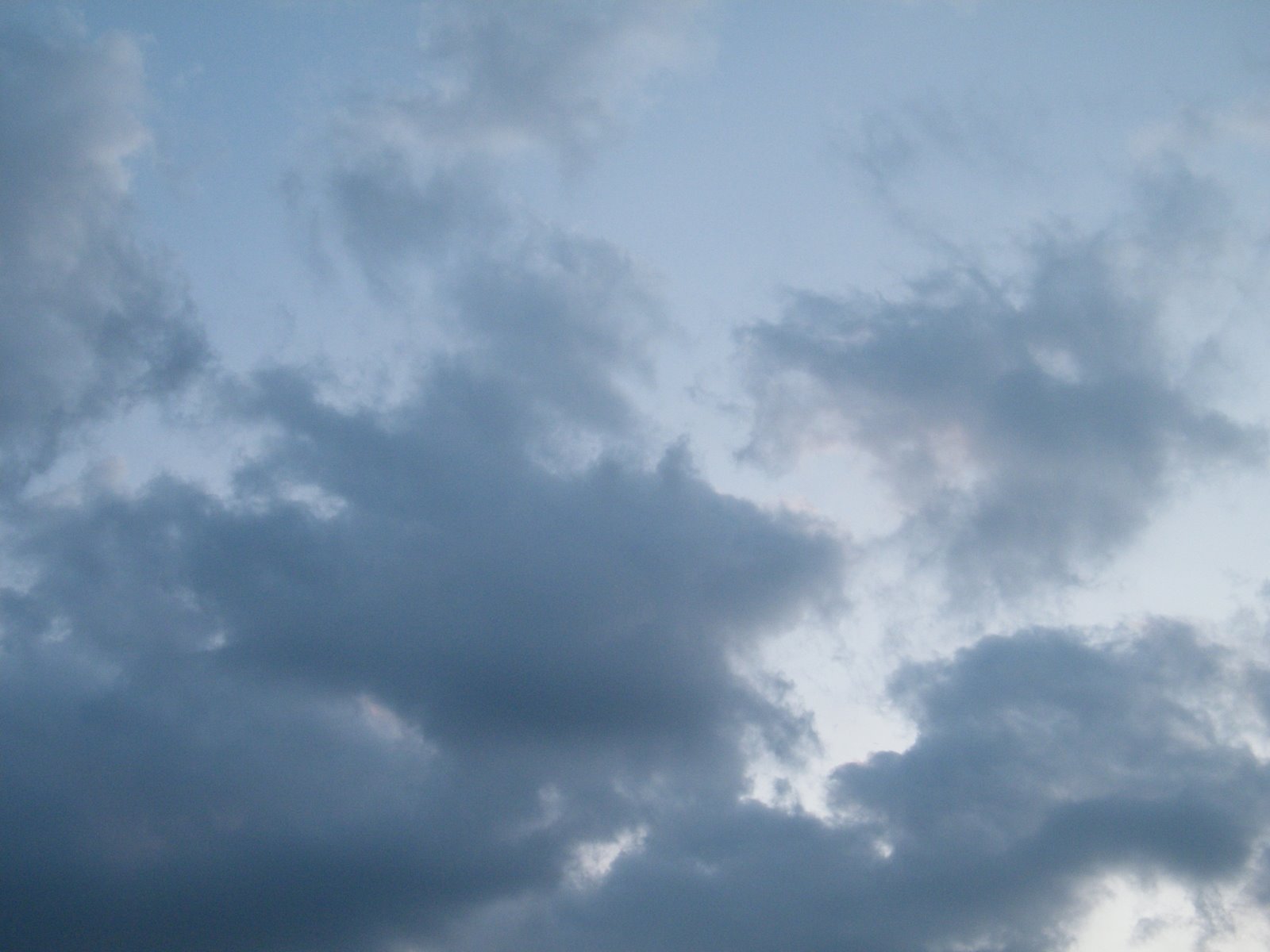 [2009_0711fun0029.JPG]