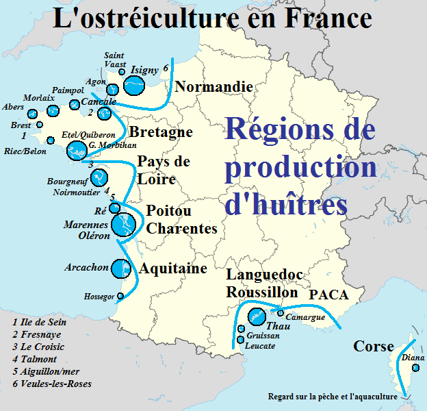 Revue de presse 2010 (4) Conchyliculture, aquaculture, pisciculture,... Revue de presse 2010 (4) Conchyliculture, aquaculture, pisciculture,...