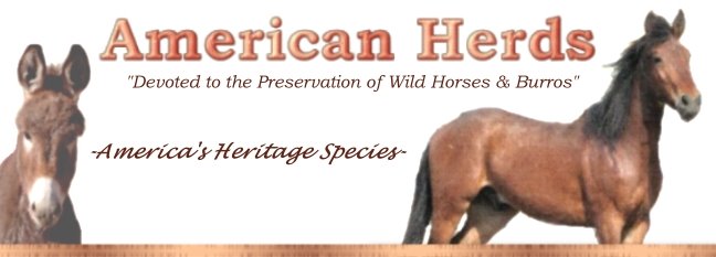 American Herds Extras