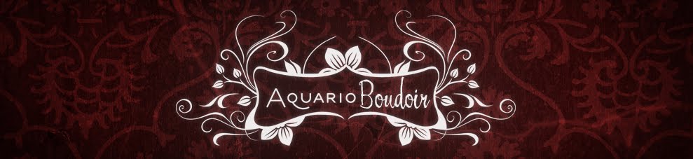 Aquario Boudoir