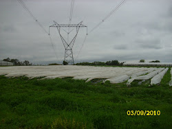 Predio familiar Salto