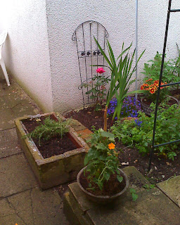 dino´s blog: Mein kleiner aber Feiner Garten