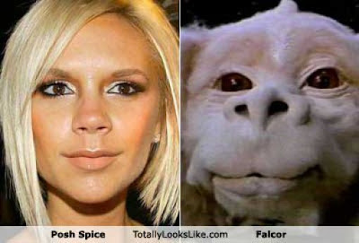 Funny Look Alike Seen On www.coolpicturegallery.us