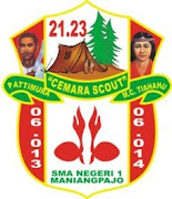 Logo Cemara Scout