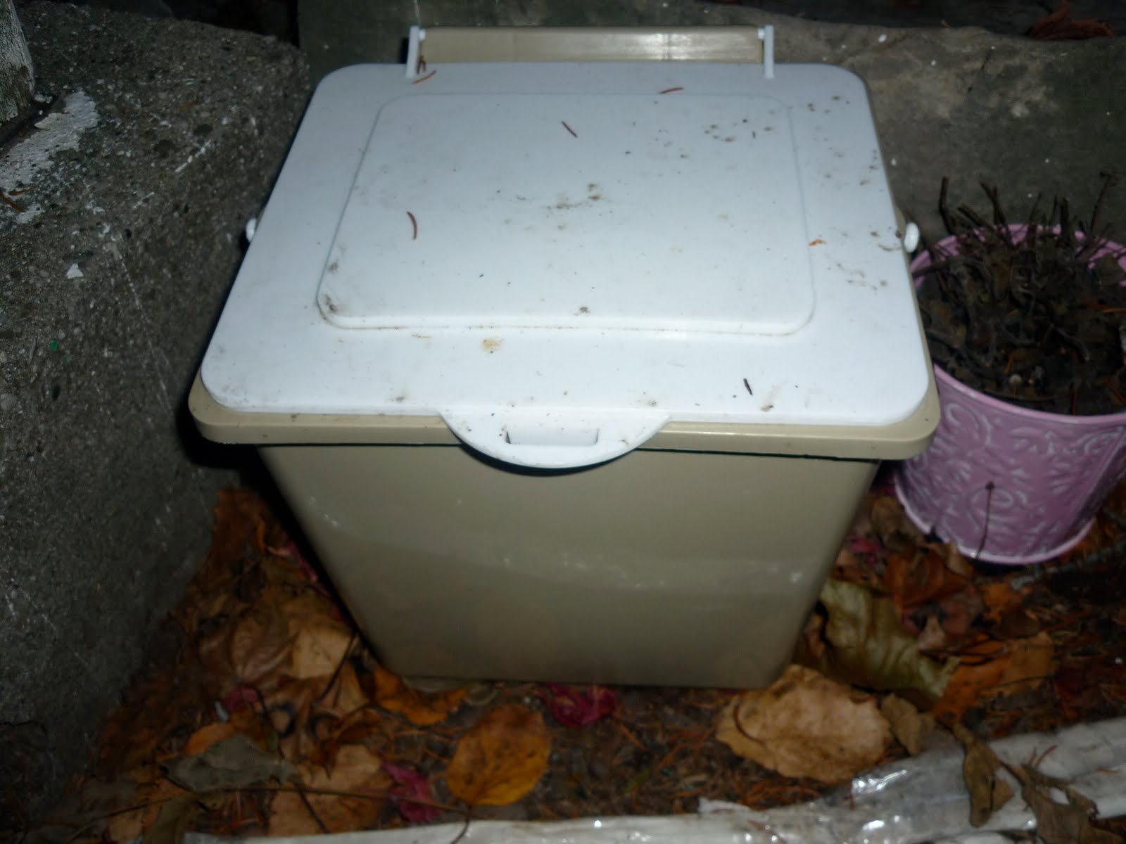 Virtually There Life in Waterloo Part 2 The Green Bin Program