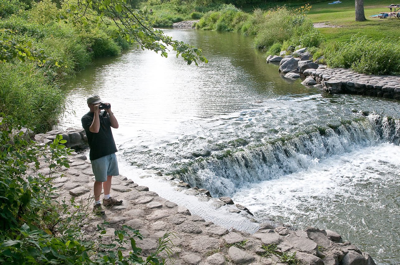 My Pixelated Oasis Turtle River State Park
