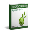 hydroponic gardening
