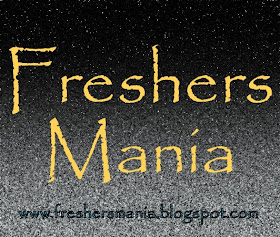 engineering student resume format. resume format for freshers