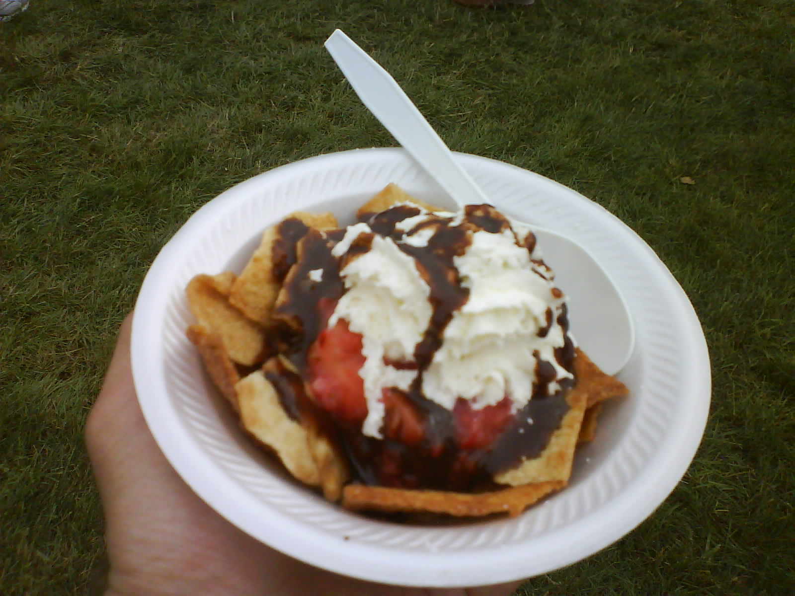 Troy Strawberry Festival Troy, Ohio