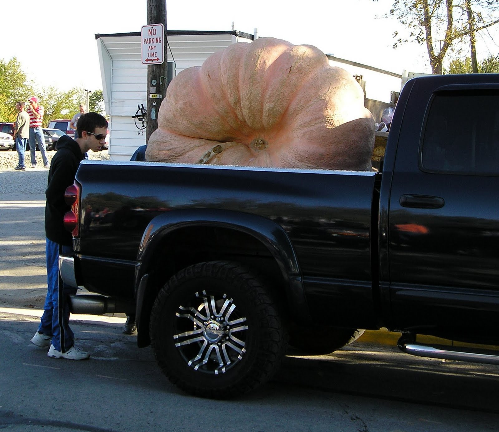 New Bremen Pumpkinfest New Bremen, Ohio