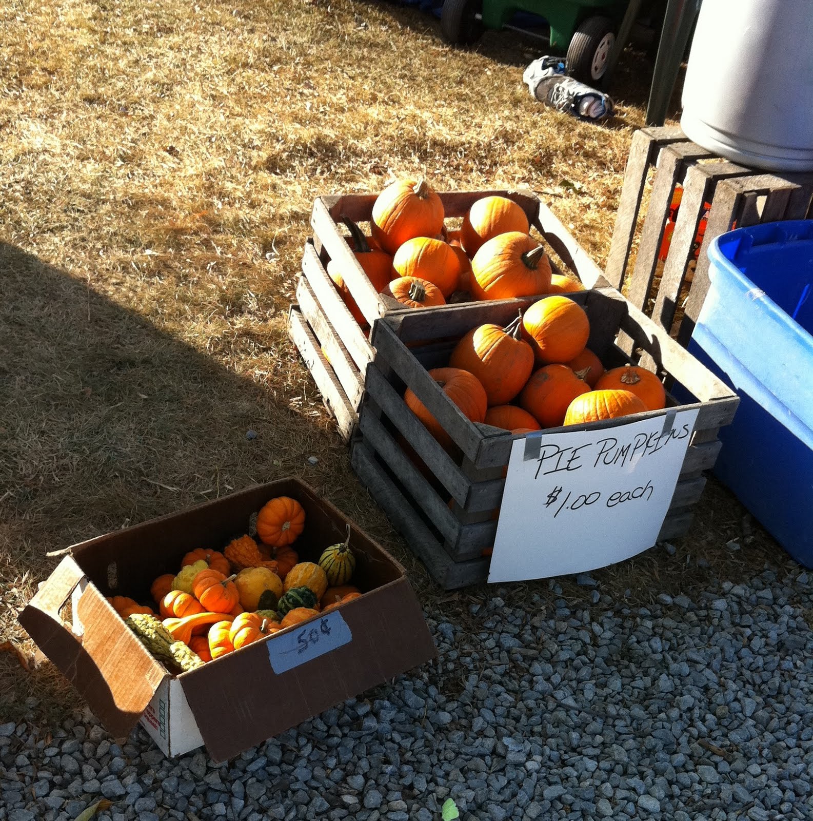 New Bremen Pumpkinfest Ohio Festivals