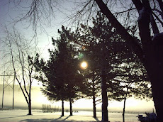 Let the Light of Truth Shine Through