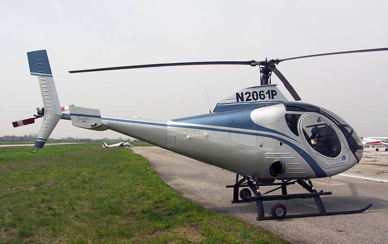 nhungdoicanh Schweizer S333